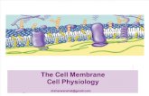 Cell Memb Trans L2