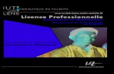 FORMATEUR DE TALENTS Licence ... FORMATEUR DE TALENTS Licence Professionnelle Commerce et distribution