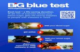 Big Blue Test 2011 (flyer)