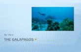 Alices p3the galapagos