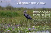 Bharatpur City Tour