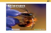 Bienen - Akademie f. Naturschutz und Landschaftspflege 2020. 10. 5.¢  2 Bienen Teil I: Bienen und Wespen