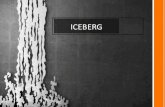 Tipologia iceberg