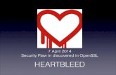 Advanced Project 1: Heart Bleed
