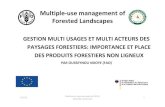 Gestion Multi Usages et Multi Acteurs des Paysages Forestiers: Importance et Place des Produits Forestiers Non Ligneux