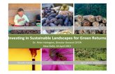 Investing in sustainable landscapes for green returns