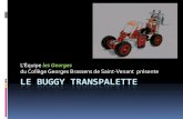 Le buggy transpalette