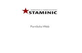Portfolio web de l'agence Staminic