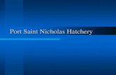 Port Saint Nicholas Hatchery - Amazon S3 2014. 1. 6.¢  Port Saint Nicholas Hatchery Author: Allen Edsall