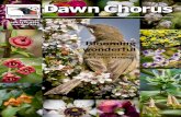 Dawn Chorus - Tiritiri Matangi chorus/Dawn Chorus 96.pdf¢  360 Discovery is celebrating the 25th anniver