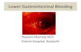 Lower Gastrointestinal Bleeding Gastrointestinal...¢  Lower Gastrointestinal Bleeding Hussein Shamaly