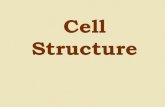 Cell Structure - Mr. Dones' Cell Structure Plants, Animals, Fungi and Protists have Eukaryotic Cell(s)
