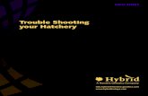Trouble Shooting your Hatchery - Hybrid INFO SHEET | TROuBlE ShOOTIng yOuR hATChERy | 2 TROUBLE SHOO