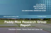 Paddy Rice Research Group Report 2019. 12. 10.¢  Paddy Rice Research Group: Recent achievements (2)