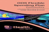 OOS Flexible Spending Plan Spending-Plan...¢  termination credit allocation and amounts will be carried