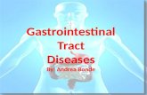 Gastrointestinal Tract Diseases