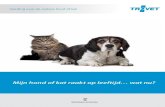 Voeding voor de oudere hond of kat - TROVET · PDF file 2020. 3. 11. · Voeding en leeftijdsfase Voeding speelt een belangrijke rol tijdens elke leeftijdsfase van je huisdier. De