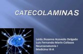 Catecolaminas en Neurologia