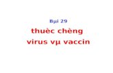 Bai 29 Virus- Vaccin