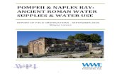 POMPEII NAPLES BAY: ANCIENT ROMAN WATER SUPPLIES 2016 Pompeii First, ancient Pompeii can justifiably
