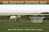 DRD Charolais Dispersal Sale