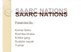Saarc Nations (2)