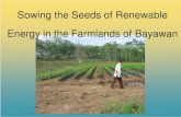 Sowing the Seeds of Renewable Energy
