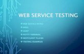 Webservice Testing