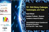 T01: RAN Slicing Challenges, Technologies, and multiservice multi-tenant RAN toward So-RAN architecture
