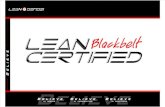 Blackbelt Certification Information