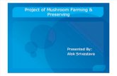 Project of Mushroom Farming & Preserving