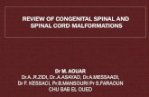 REVIEW OF CONGENITAL SPINAL AND SPINAL CORD Spinal Dysraphism (Classification) Open type Closed type