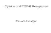 Cytokin und TGF- Rezeptoren Gernot Desoye. Cytokin-Rezeptoren JAK-STAT-Pathway Homodimere Rezeptoren: aktivieren bevorzugt JAK 2 Heterodimere Rezeptoren: