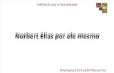 Norbert Elias Por Ele Mesmo_PDF