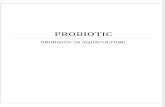 Probiotic Assign