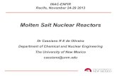 Molten Salt Nuclear 2013. 12. 3.¢  Molten Salt Reactors Safety Inherent safety, understandable to the