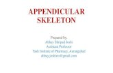 APPENDICULAR SKELETON - · PDF file APPENDICULAR SKELETON •The appendicular skeleton consists of : •126 bones •Allows us to move and manipulate objects •Includes all bones