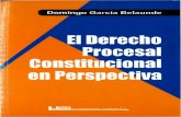 EL DERECHO PROCESAL CONSTITUCIONAL EN ... DERECHO PROCESAL... el Derecho Procesal Constitucional en