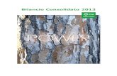 Bilancio Consolidato 2013 - ETicaNews ... Enel Green Power - Bilancio consolidato 2013 4 Enel Green Power Enel Green Power, nata nel dicembre 2008, è la Società del Gruppo Enel interamente