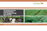 Cassava system cropping guide - IITA 2. Cassava cropping systems Cassava production in Africa occurs
