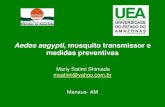 Aedes aegypti, mosquito transmissor e medidas 2016. 5. 26.¢  O mosquito da dengue (Aedes aegypti) se