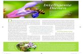 Intelligente Bienen - Queen Mary University of scientific articles...¢  2018. 1. 29.¢  Die Techniken,