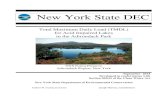 New York State DEC 2021. 1. 11.¢  for Acid Impaired Lakes in the Adirondack Park Adirondack Region,