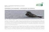GRAND CAYMAN, CAYMAN ISLANDS - 2016. 12. 9.¢  BIRD TOURISM REPORTS 7/2016 Petri Hottola GRAND CAYMAN,