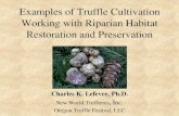 Examples of Truffle Cultivation Working with Riparian ... ... ¢â‚¬¢ Oregon Truffle Festival ¢â‚¬â€œ Truffle