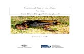 National Recovery Plan for the Baw Baw Frog Philoria frosti ... The Baw Baw Frog Philoria frosti is a smallish brown frog endemic to the Baw Baw Plateau and escarpment area, in the