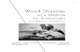 , Wood Shavings - University of Hawai»i 2018. 1. 18.¢  Mixtures. Wood shavings were used alone and