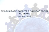 Desigualdade, pobreza e exclus£o social no brasil