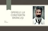 Operele Lui Constantin Br¢ncu™i