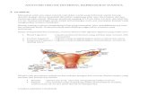 anatomi ovary tuba